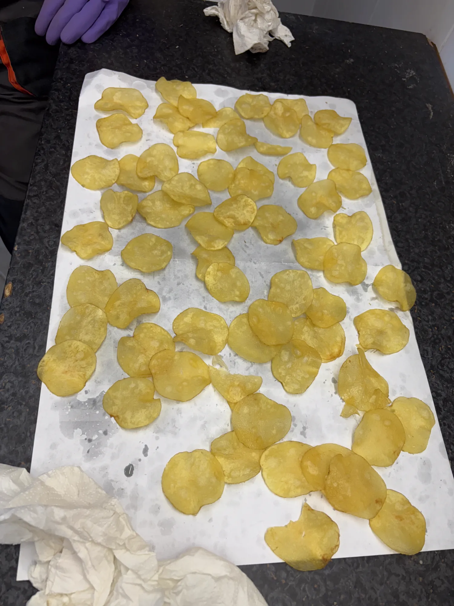 Punchy Aardappelen | 900 ton beschikbaar | Hoge kwaliteit