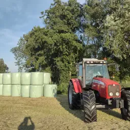 https://cdn.farmtrade.nl/media/160407/conversions/KzdmGm-thumbnail.webp