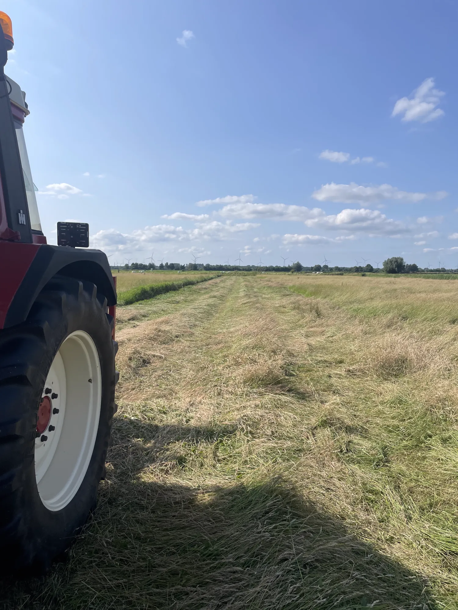 Kleine baaltjes hooi kopen - Stofvrij en zonder jakobskruid