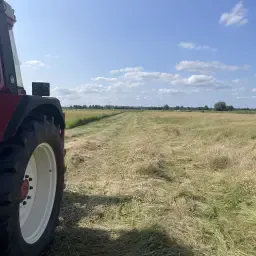 https://cdn.farmtrade.nl/media/160605/conversions/bGsF7Q-thumbnail.webp