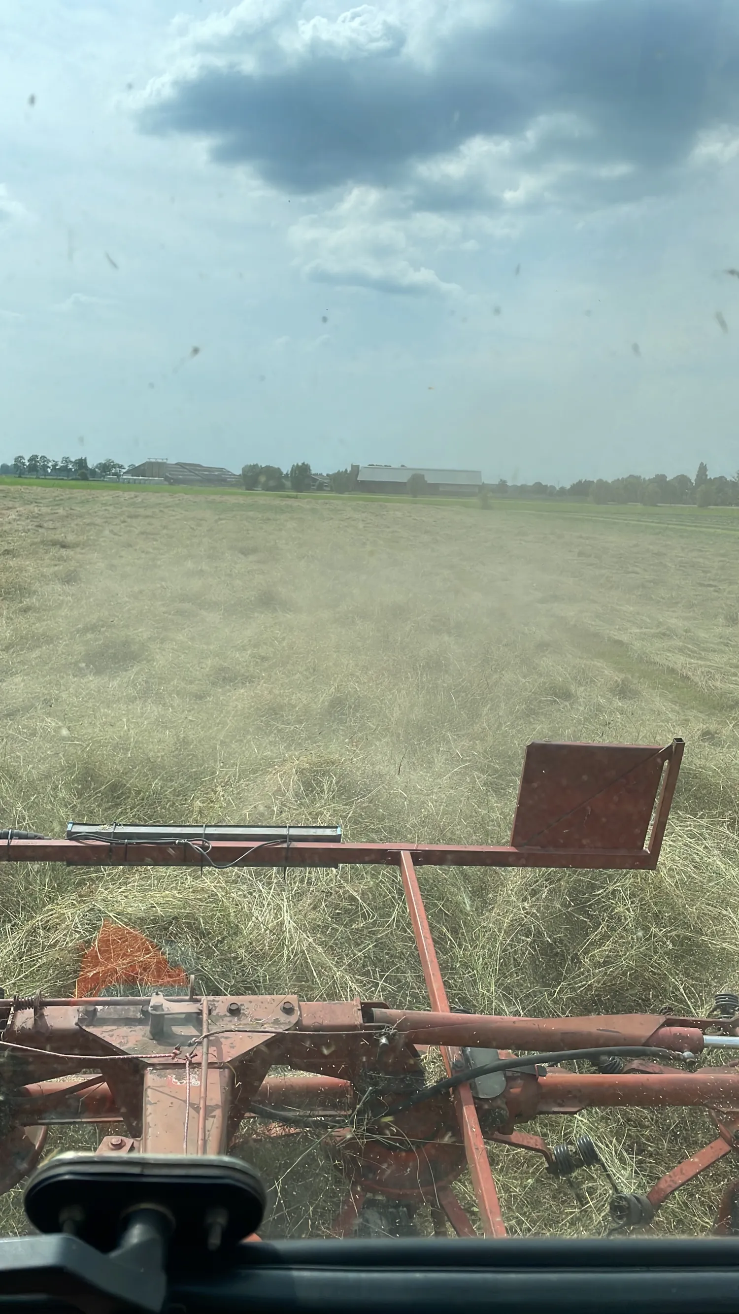Kleine baaltjes hooi kopen - Stofvrij en zonder jakobskruid