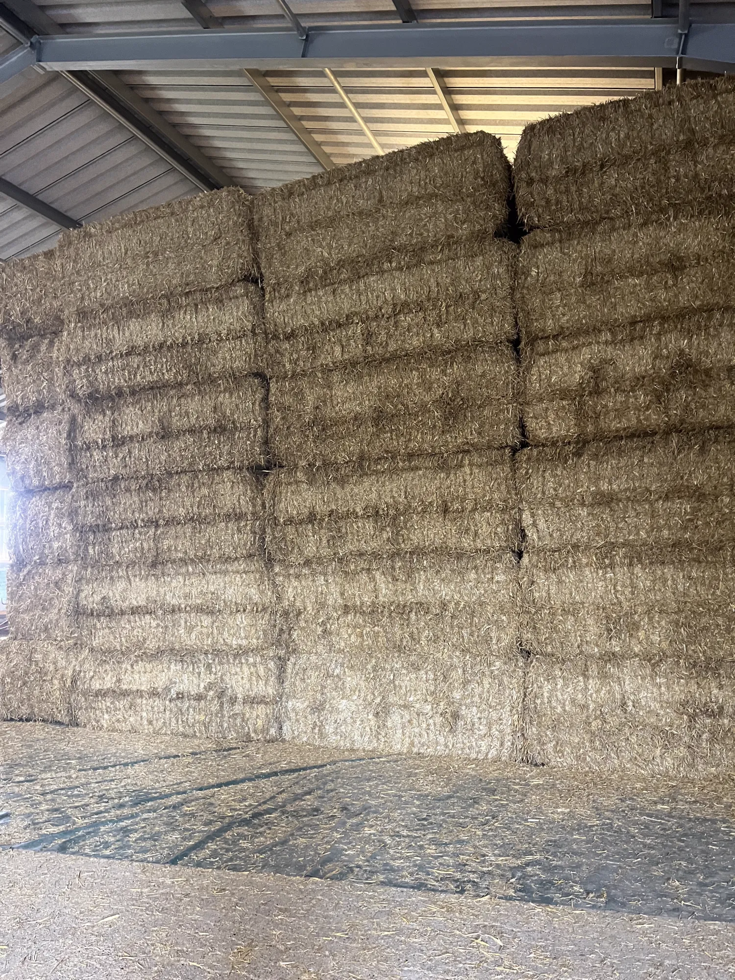 Strobalen te koop: Grote hoeveelheden, hoge kwaliteit
