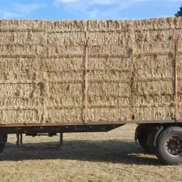 https://cdn.farmtrade.nl/media/160861/conversions/XYusPV-thumbnail.webp