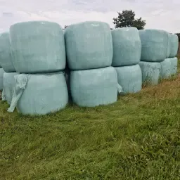 https://cdn.farmtrade.nl/media/161122/conversions/Y0h4hY-thumbnail.webp