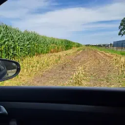 https://cdn.farmtrade.nl/media/161154/conversions/7VliTT-thumbnail.webp
