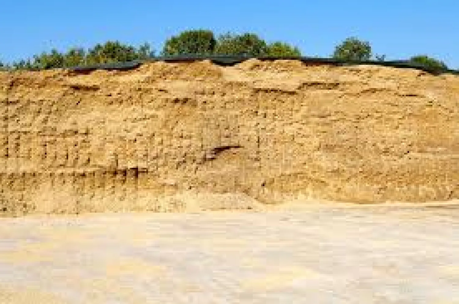 Maiskuil met erwten, oogst 2024, 1000 ton