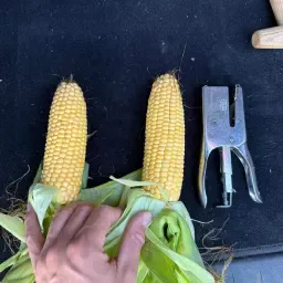 https://cdn.farmtrade.nl/media/161288/conversions/Zgx597-thumbnail.webp