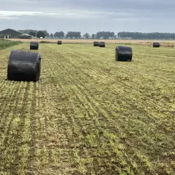 https://cdn.farmtrade.nl/media/161469/conversions/WMWf08-thumbnail.webp