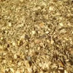 Царевичен силаж с грах за продажба