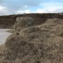 Продава се тревен силаж: 200-300 тона, 1-ва и 2-ра коситба