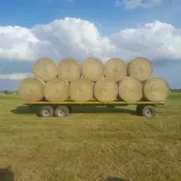 Rouleaux de litière 400 kg - Idéal pour litière profonde
