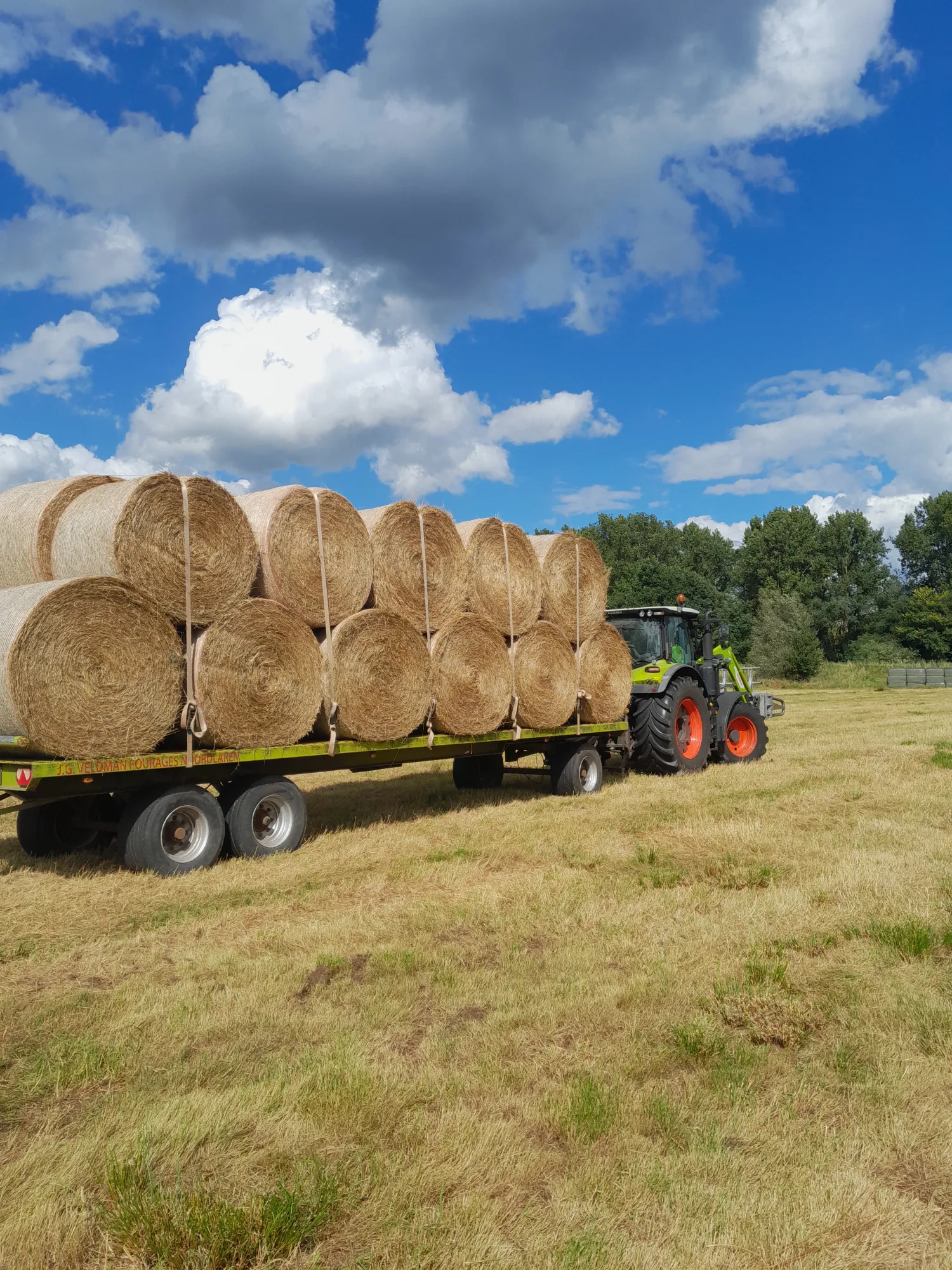 Rouleaux de litière 400 kg - Idéal pour litière profonde & protection