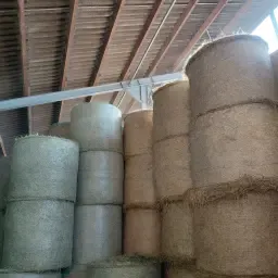 Hooibalen Rond 1.25m Te Koop