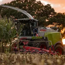 Mais hakselen incl. transport & silagewalsen