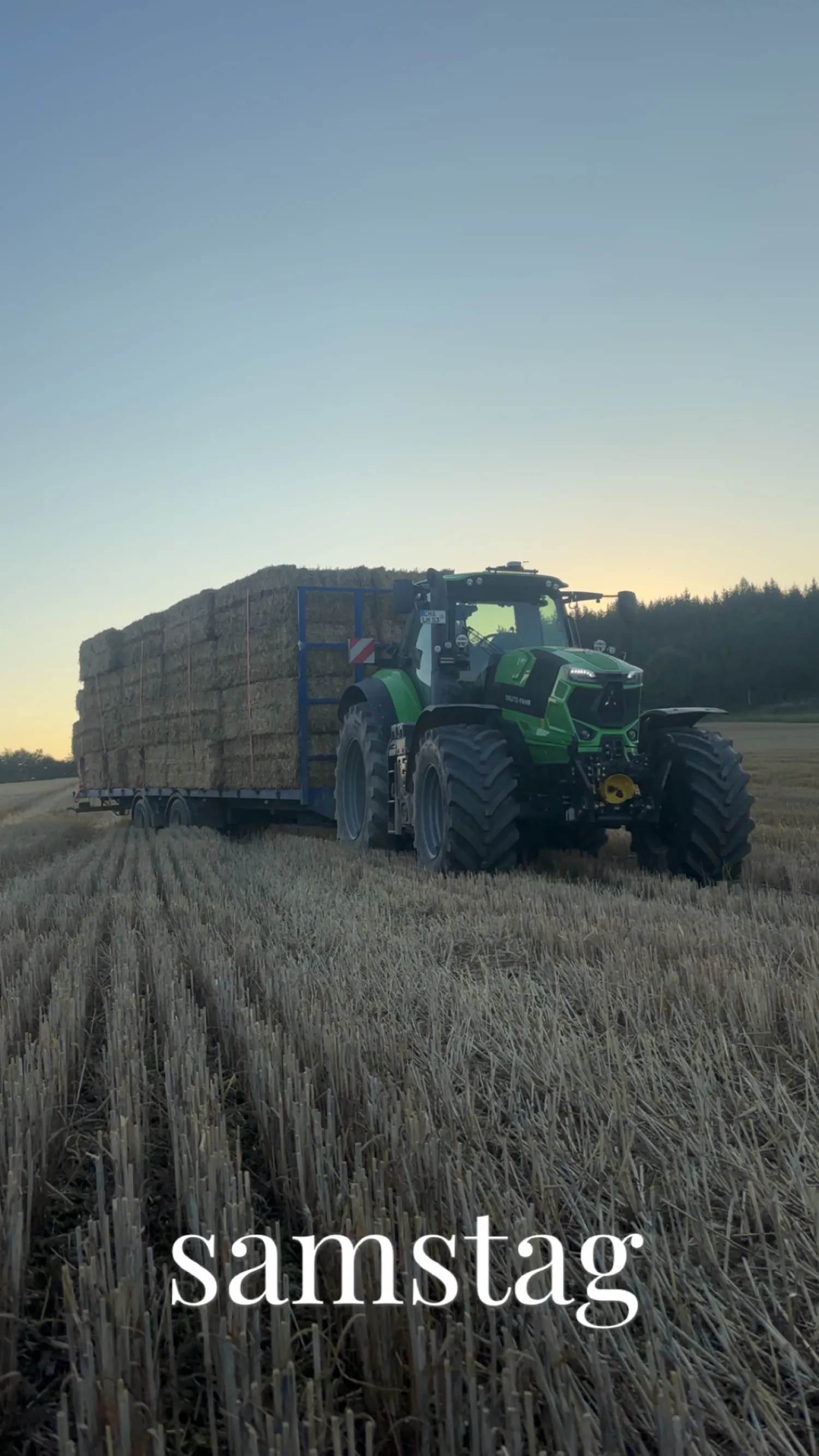 Baloți de paie triticale de vânzare | ~300 kg fiecare