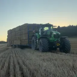 Baloți de paie triticale de vânzare | ~300 kg fiecare