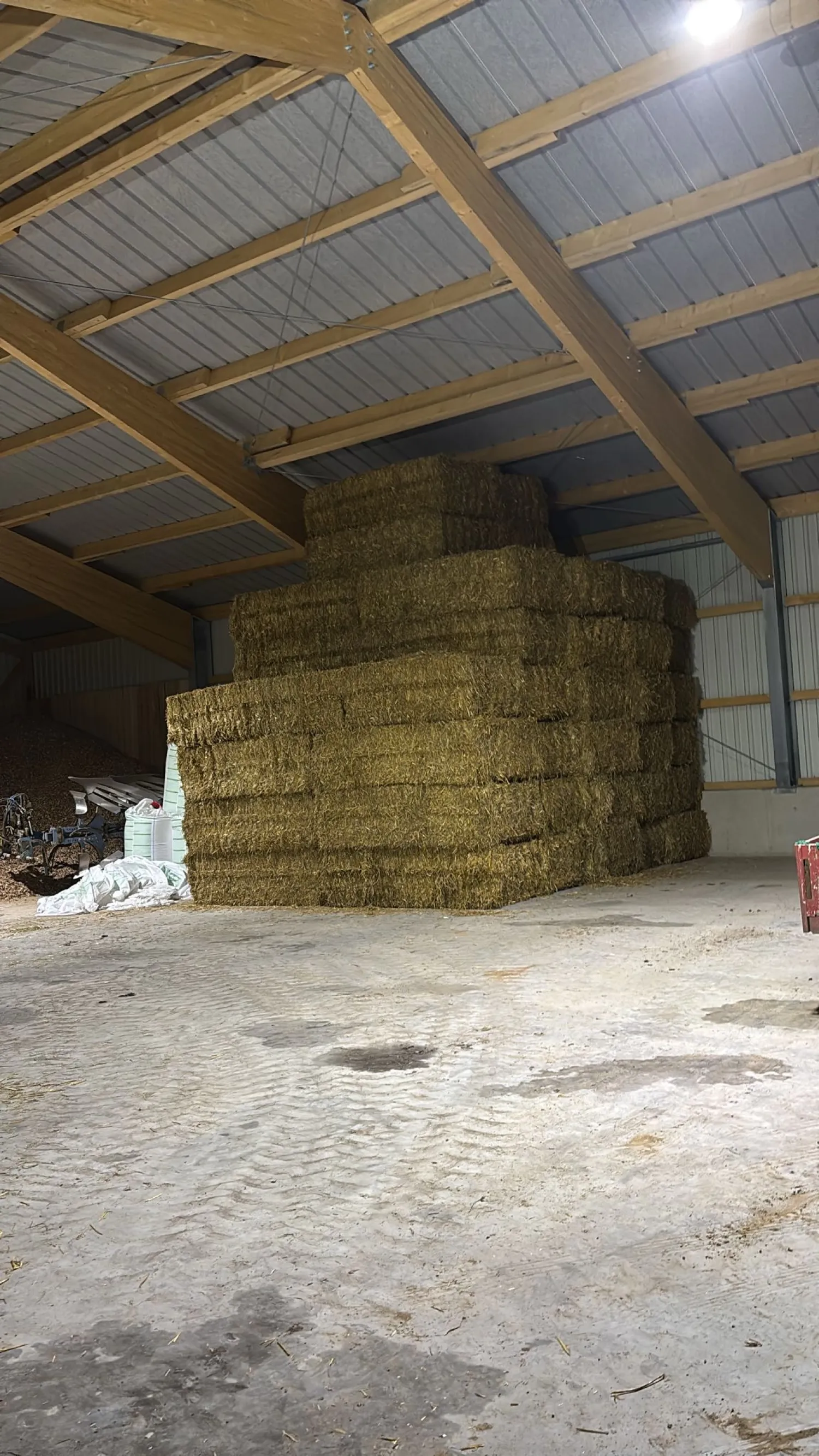 Baloți de paie triticale de vânzare | ~300 kg fiecare