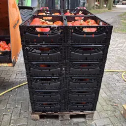 Hokkaido pompoen kopen - Vers, gewassen & verpakt