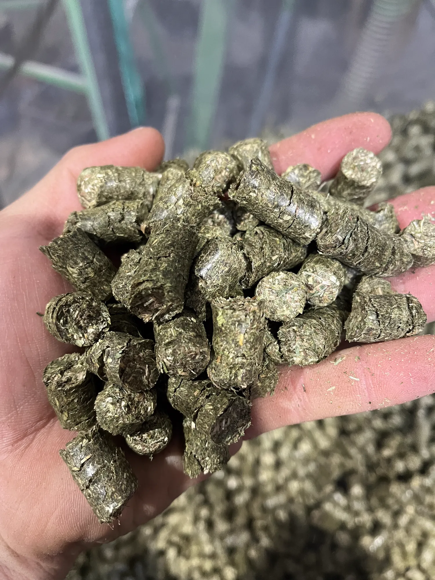 Heucobs/Pellets zu verkaufen | 6mm, 8mm und 12mm Cobs