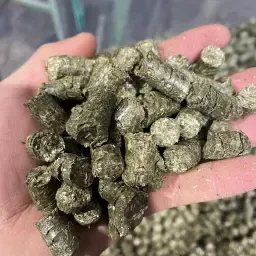 https://cdn.farmtrade.nl/media/161981/conversions/a5Cp5s-thumbnail.webp