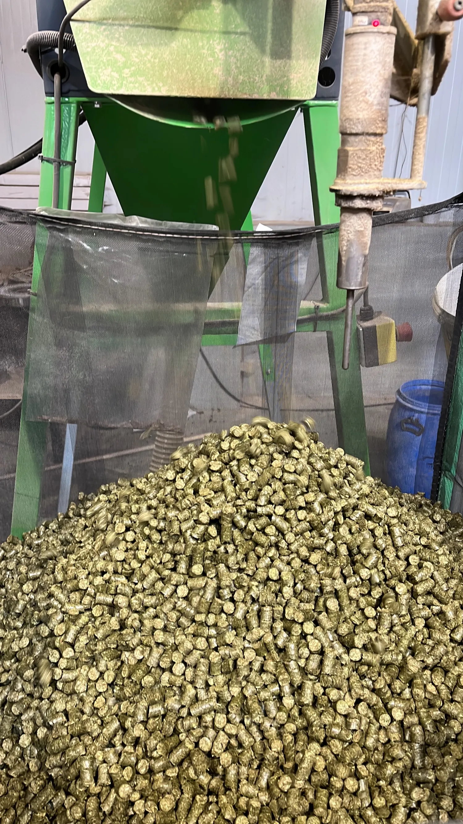 Heucobs/Pellets zu verkaufen | 6mm, 8mm und 12mm Cobs