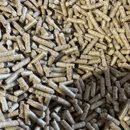 https://cdn.farmtrade.nl/media/161985/conversions/IuV6Jo-thumbnail.webp