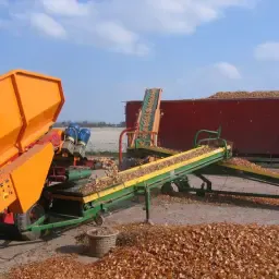 https://cdn.farmtrade.nl/media/162028/conversions/deNgPa-thumbnail.webp