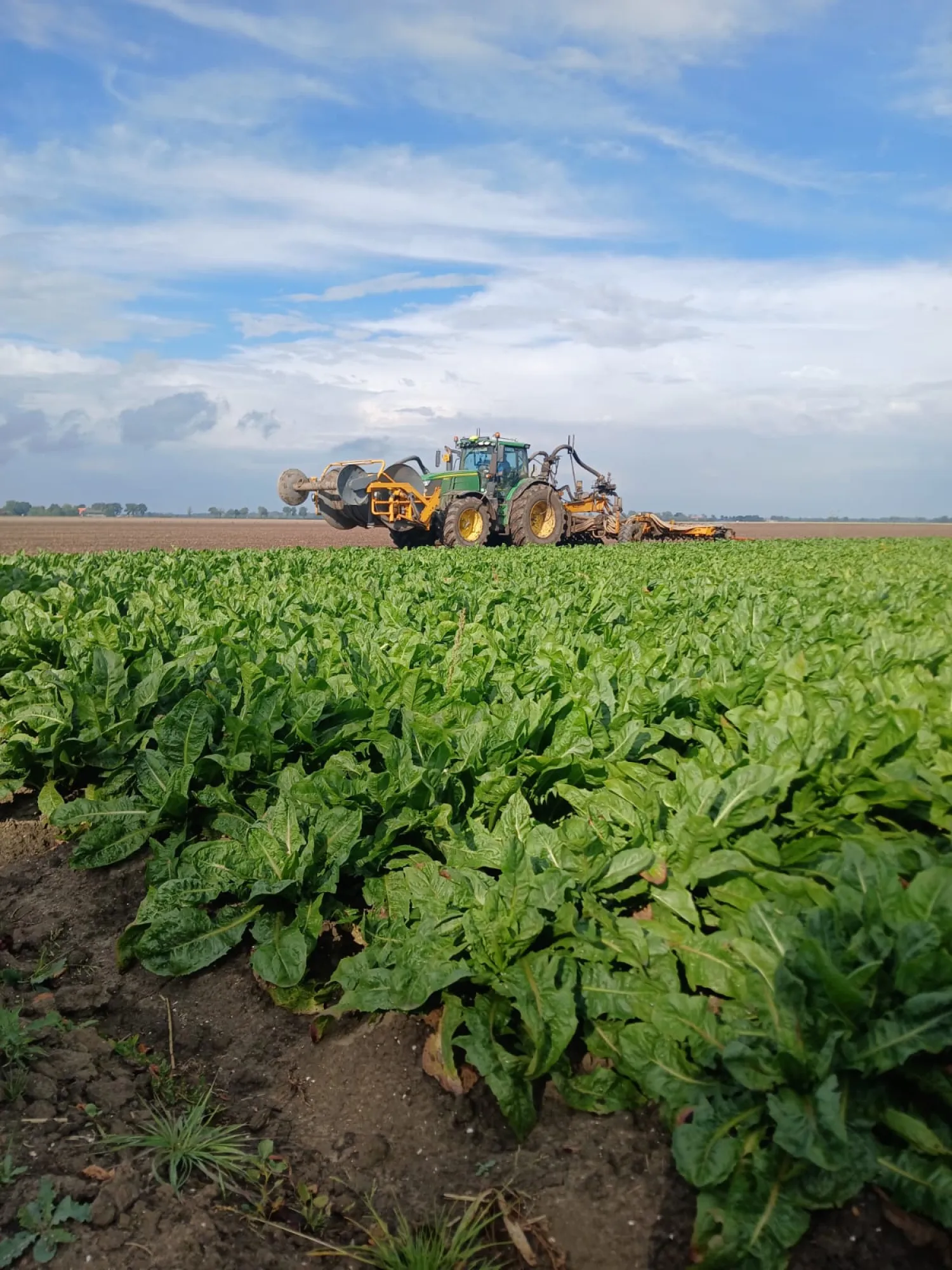 ¿Necesita purín? ¿Campo disponible para abono?