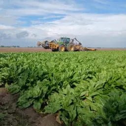 https://cdn.farmtrade.nl/media/162096/conversions/V1X0Zk-thumbnail.webp