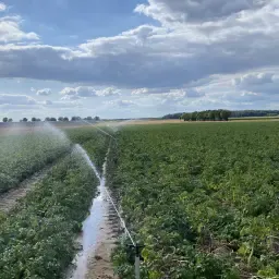 https://cdn.farmtrade.nl/media/162399/conversions/Qp7zqT-thumbnail.webp