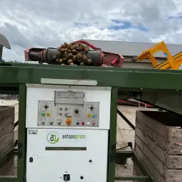Rent Schouten Box Filler | Efficient Filling