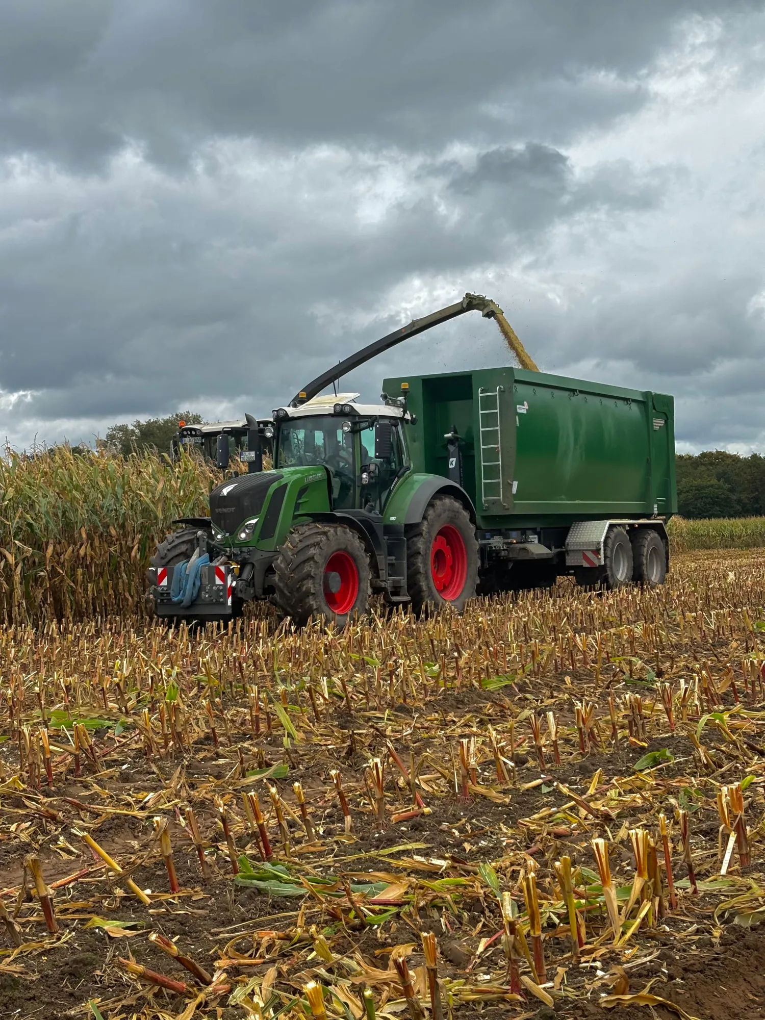 Fendt zu vermieten für Hackarbeiten & Misttransport | Wildeshausen