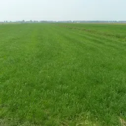 https://cdn.farmtrade.nl/media/162827/conversions/3IgVYa-thumbnail.webp