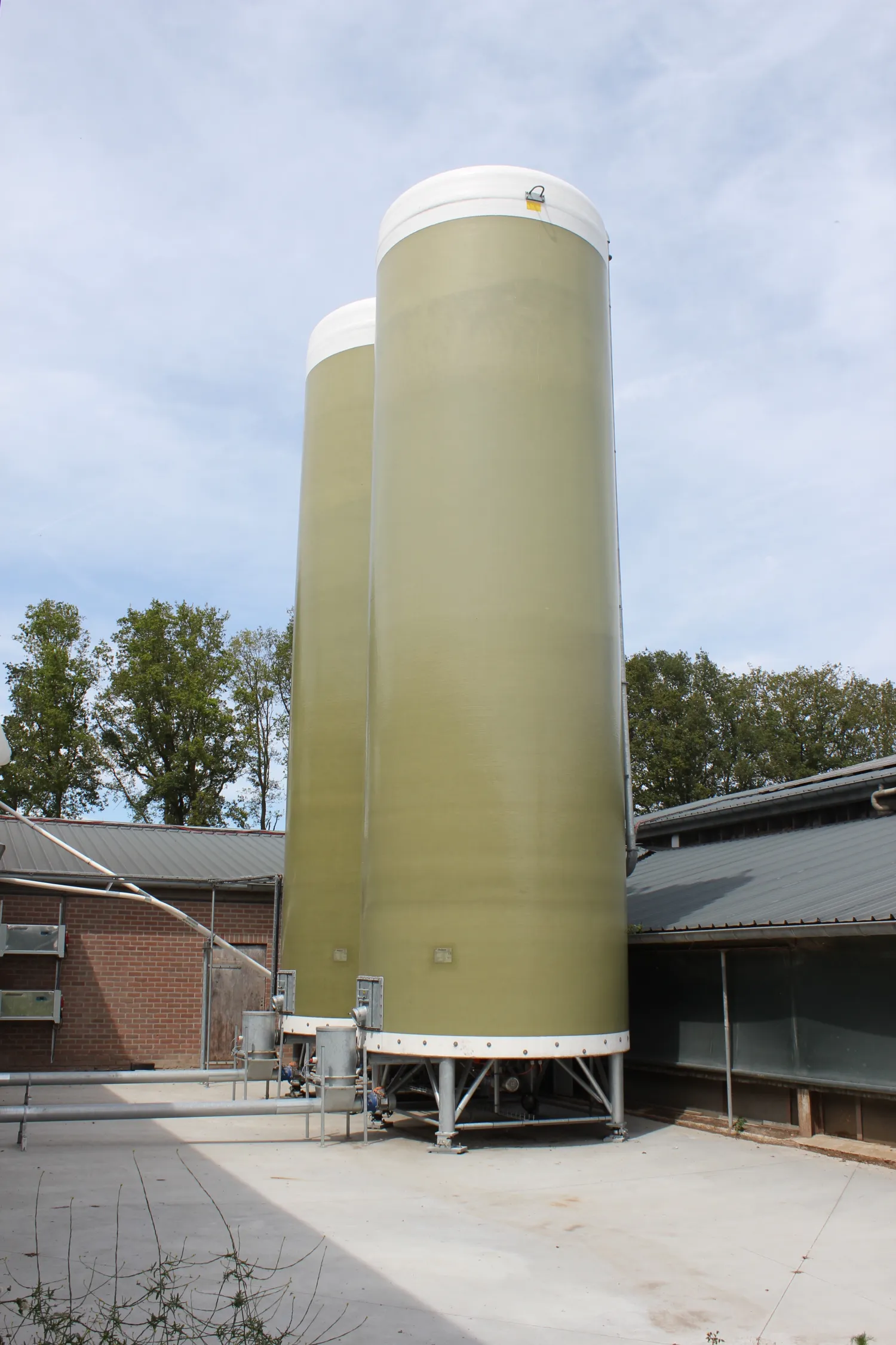 Gezocht: Vlakbodem Silo ca. 60m³ in Goede Staat
