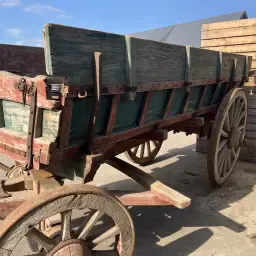 https://cdn.farmtrade.nl/media/162995/conversions/Dg8Q27-thumbnail.webp