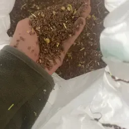 https://cdn.farmtrade.nl/media/163029/conversions/6gk452-thumbnail.webp