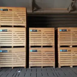 Aardappelkisten te koop - 1.60 x 1.20 x 1.24