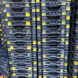 https://cdn.farmtrade.nl/media/163313/conversions/8cT3De-thumbnail.webp
