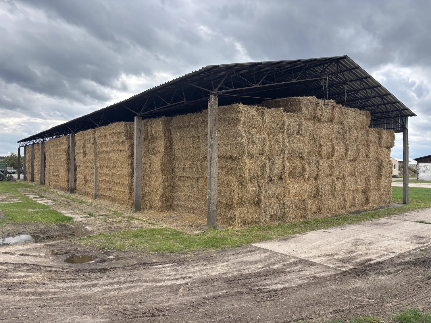 Paie de orz, secară și triticale de vânzare
