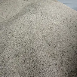 https://cdn.farmtrade.nl/media/163335/conversions/l5CpRu-thumbnail.webp