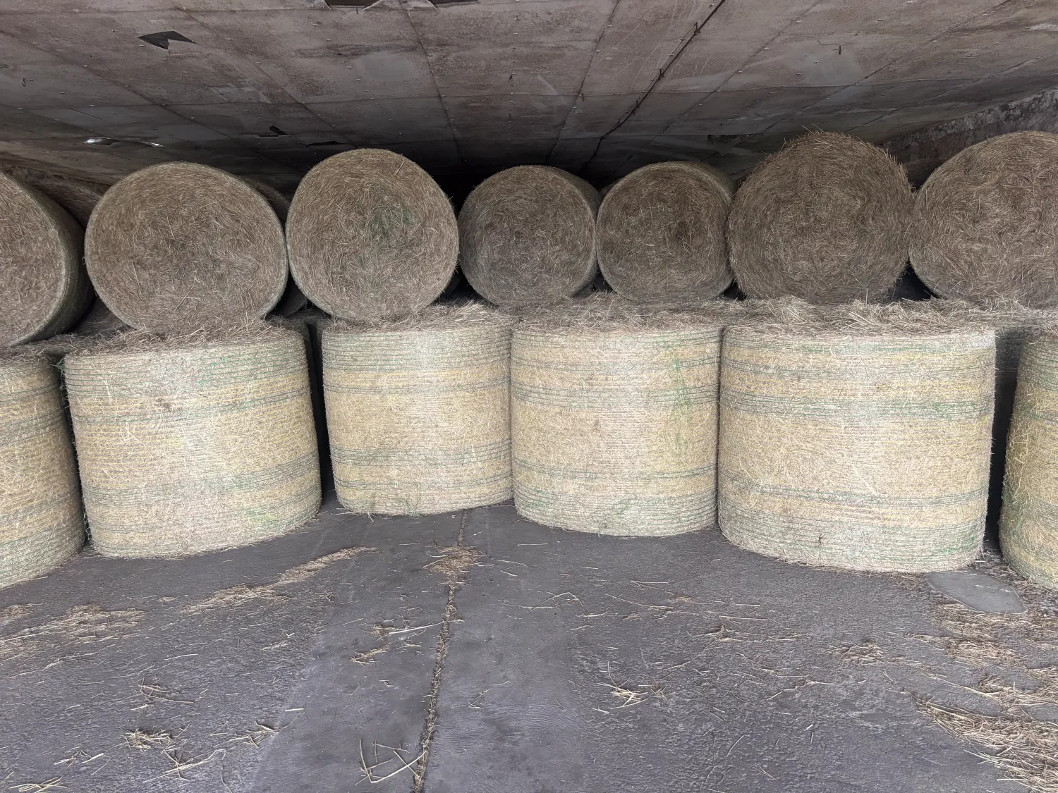 Hay Balen: 1e & 2e Snede, Ronde Baal 1,30m
