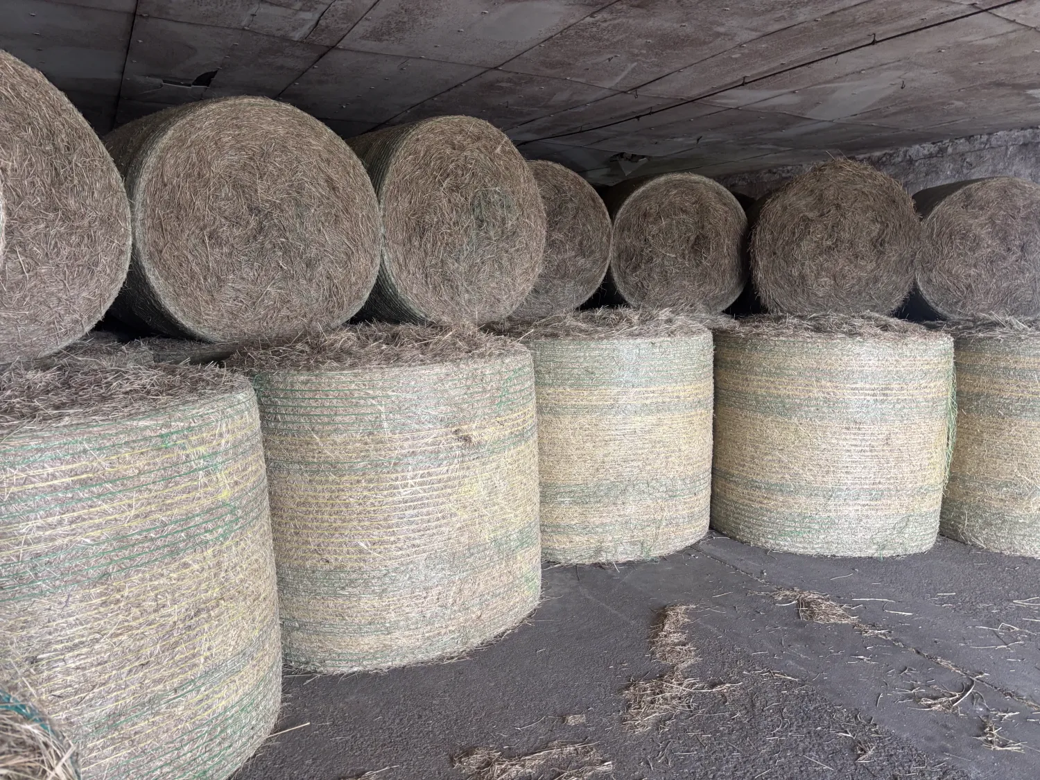 Hay Balen: 1e & 2e Snede, Ronde Baal 1,30m