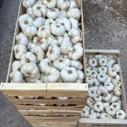 https://cdn.farmtrade.nl/media/163397/conversions/3d2s1u-thumbnail.webp