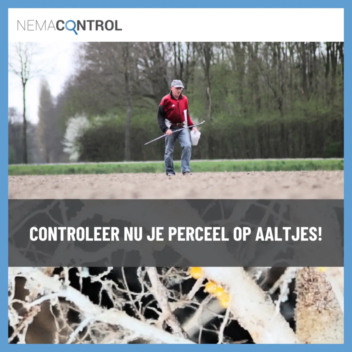 Testarea nematodelor după recoltarea cartofilor: Optimizați-vă solul