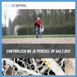 Testarea nematodelor după recoltarea cartofilor: Optimizați-vă solul