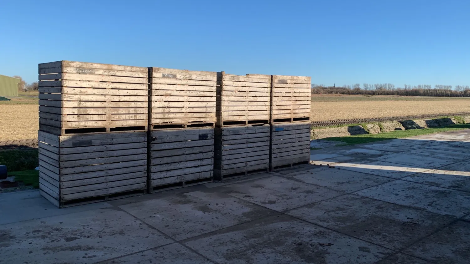 Aardappelkisten te koop - 100 stuks