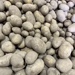 High Quality Potatoes For Sale