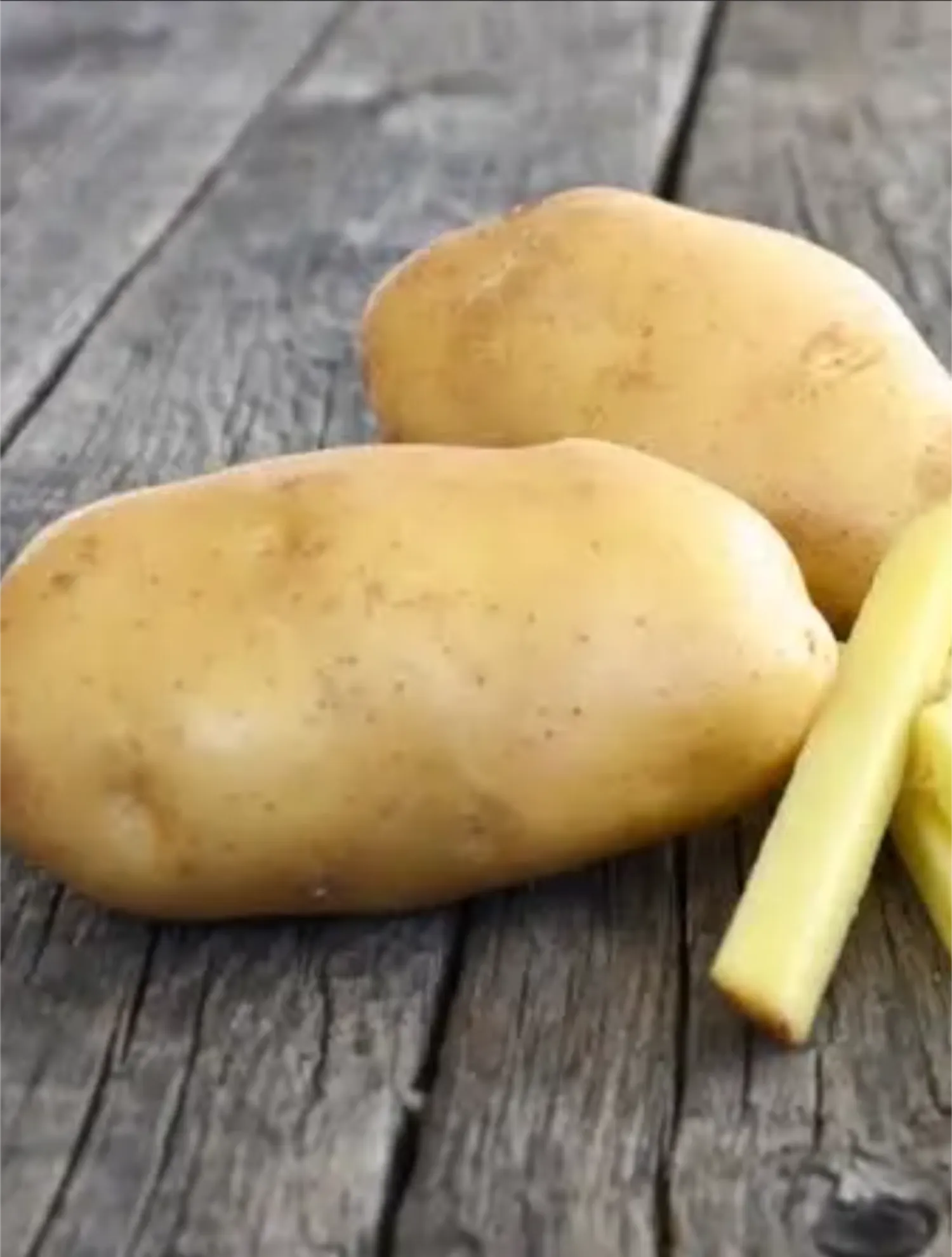 Fontane Kartoffeln zu verkaufen – Direkt vom Feld