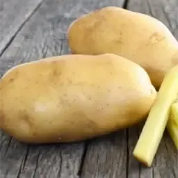 Fontane Kartoffeln zu verkaufen – Direkt vom Feld