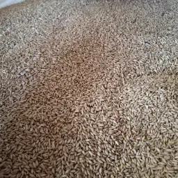 https://cdn.farmtrade.nl/media/163560/conversions/XDWpOF-thumbnail.webp